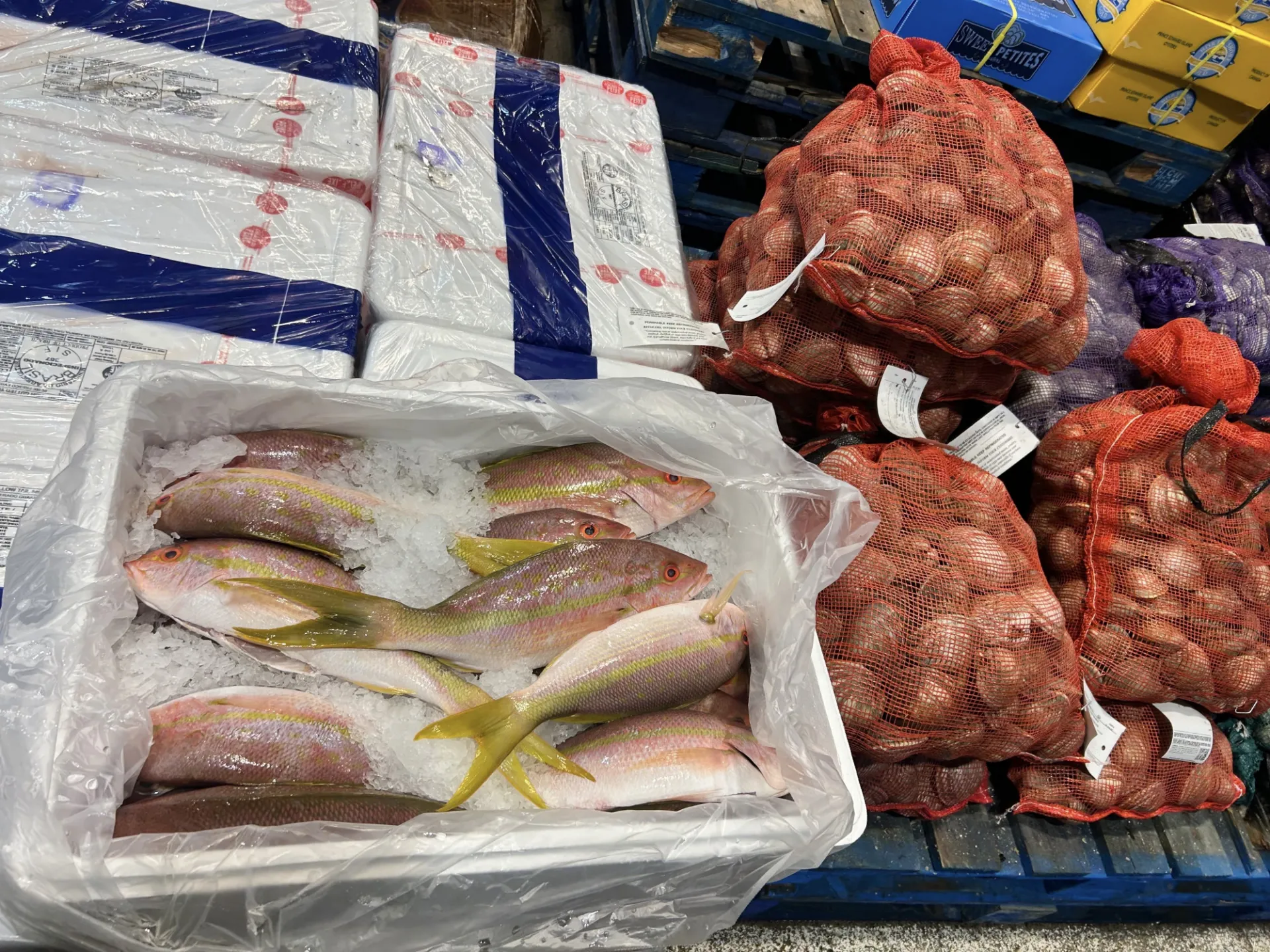 Yellowtail snapper and clams on sale at Fulton Fish Market, Hunts Point.