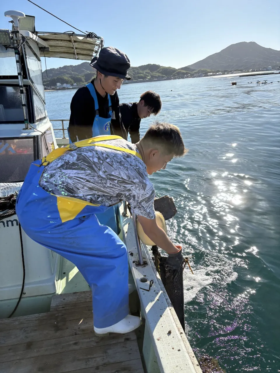 Hauling oysters in Shimakishi, a fishing aquaculture port in Itoshima 