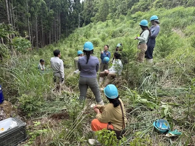 Mountain grass cutting