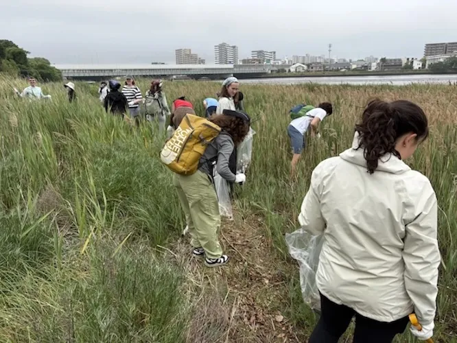 Beach clean-up 