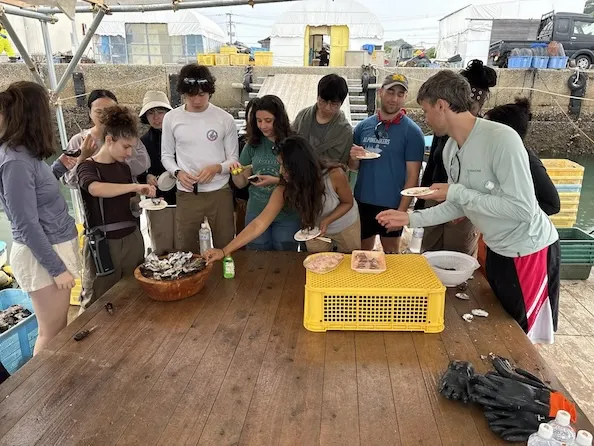 Enjoying the oyster harvest