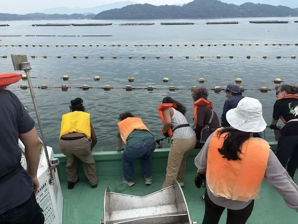 Oyster harvesting