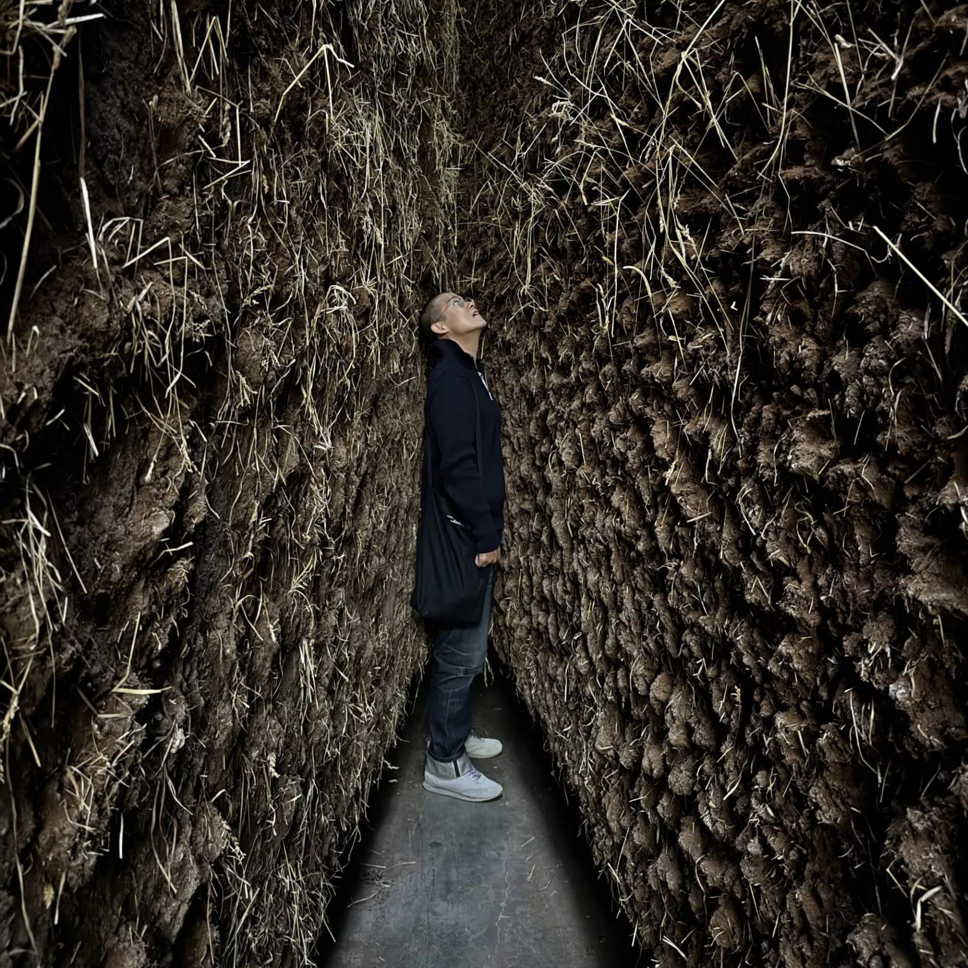 Junho Peter Yoon