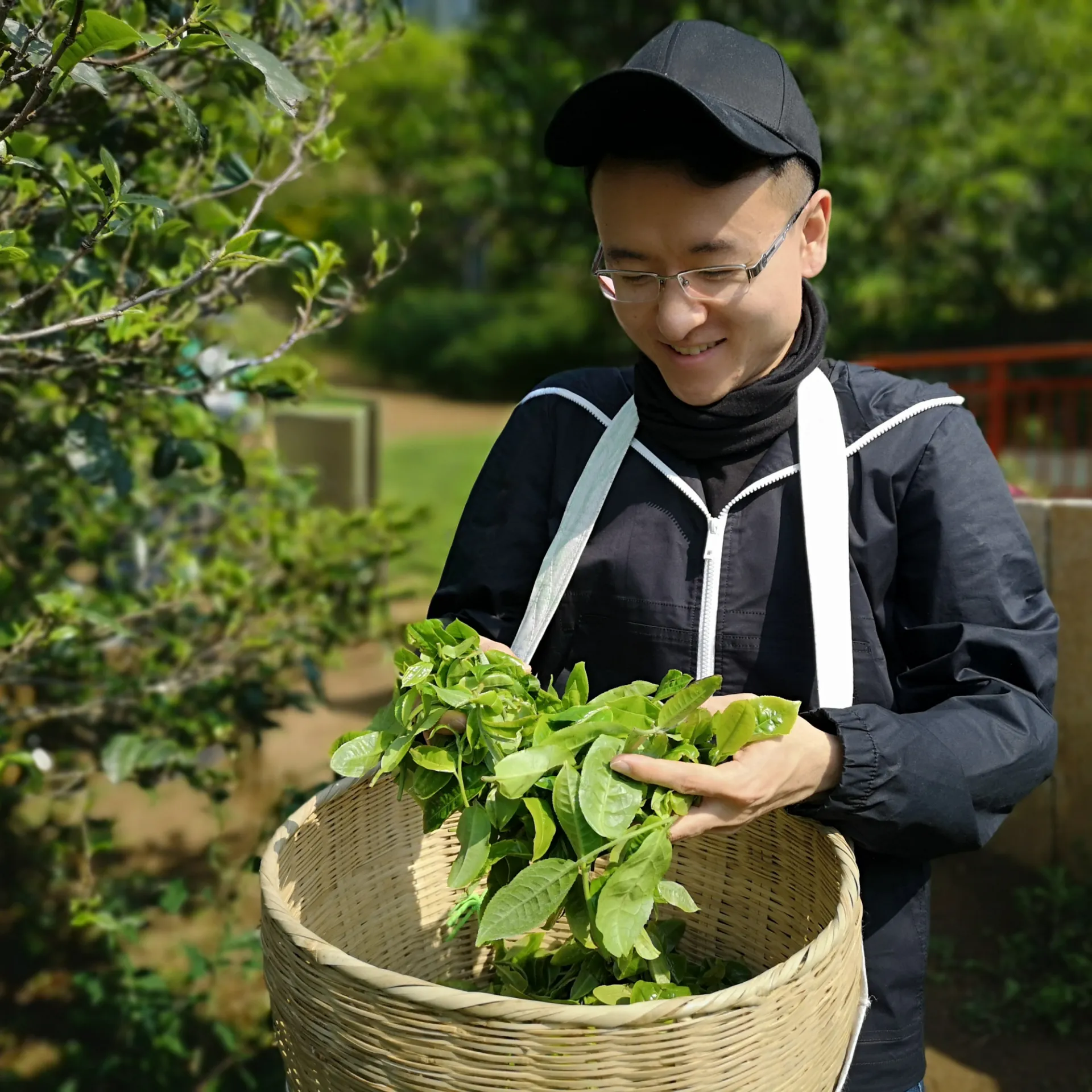 Xuexin Cai